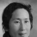 新来的教师